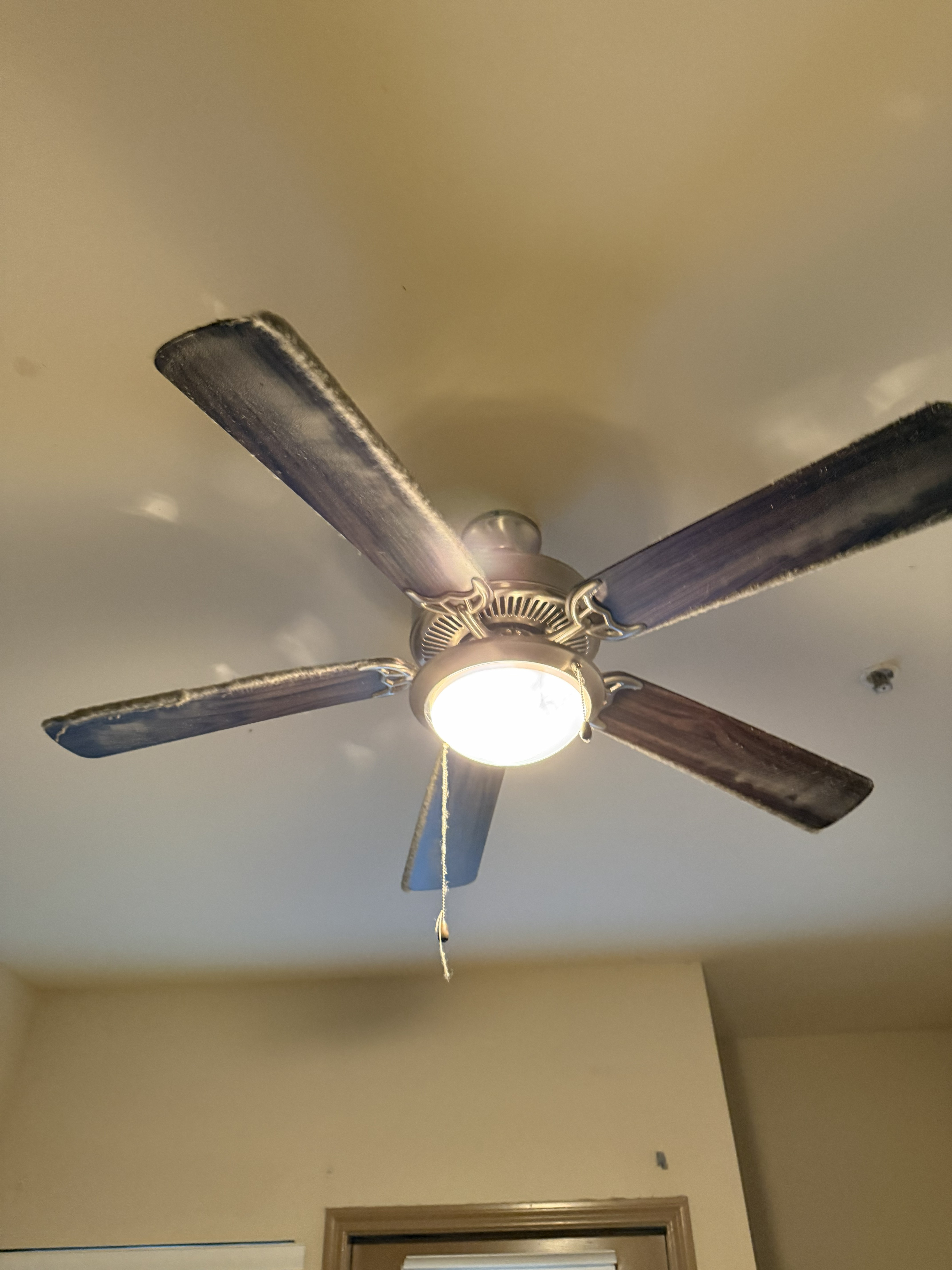 Fan B